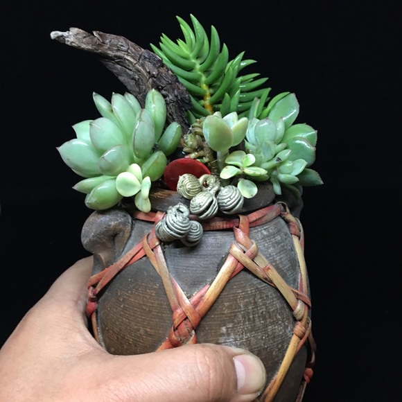 Meet your Posher, Wendell - I’m a fun guy! - Picture 5 of 8